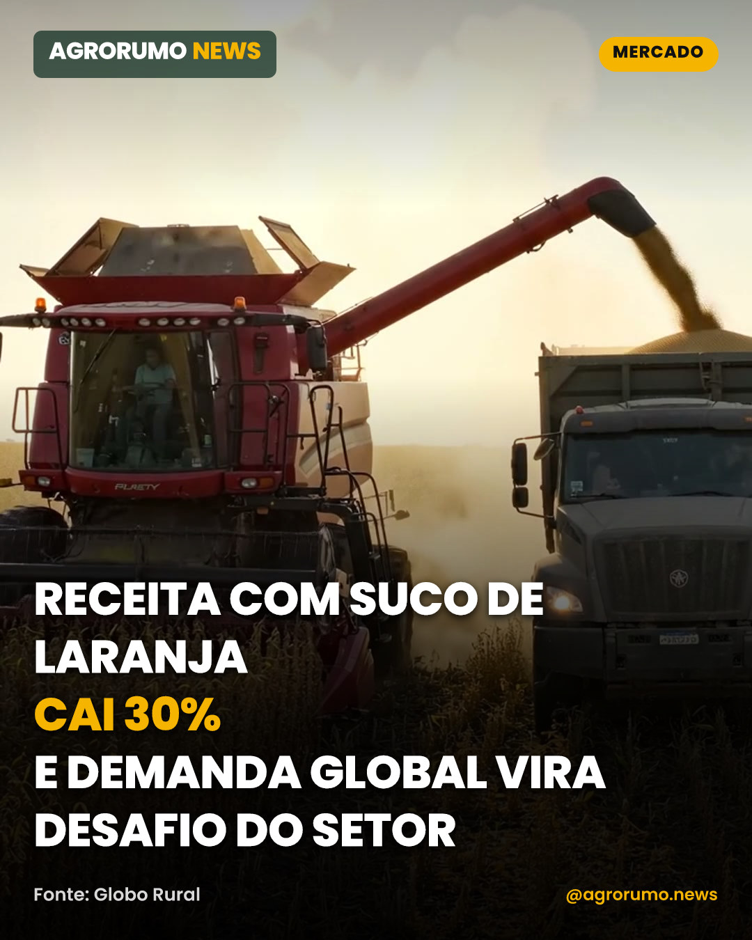 Receita com suco de laranja cai 30% e demanda global vira desafio do setor