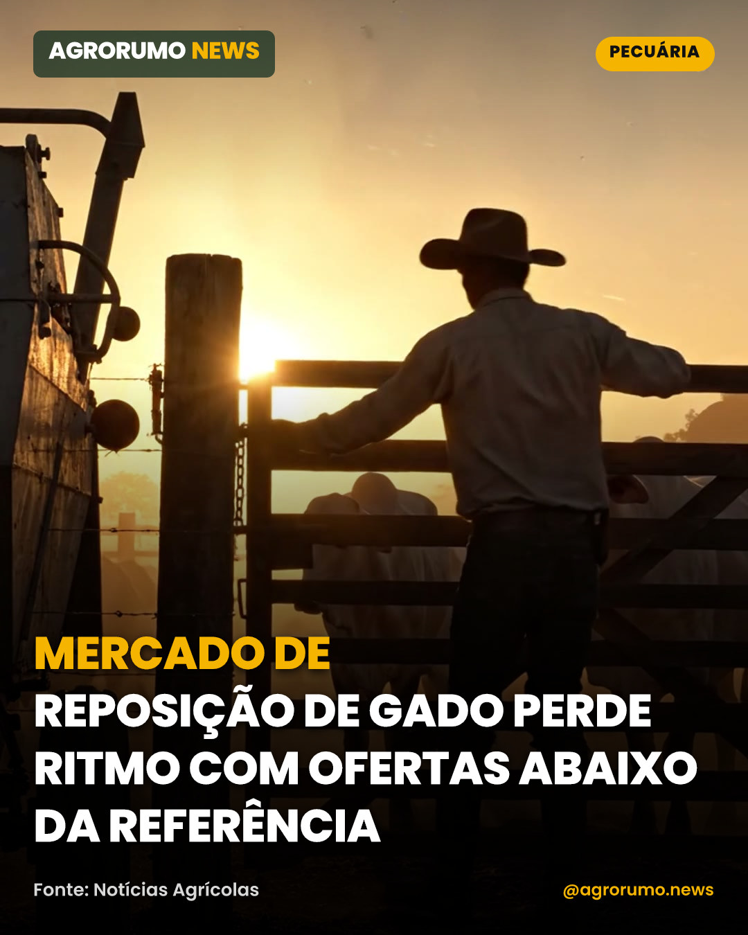 Mercado de reposição de gado perde ritmo com ofertas abaixo da referência