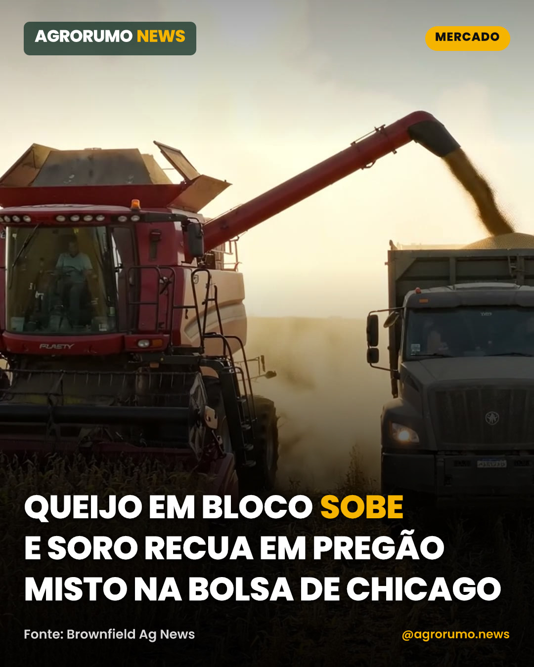 Queijo em bloco sobe e soro recua em pregão misto na Bolsa de Chicago