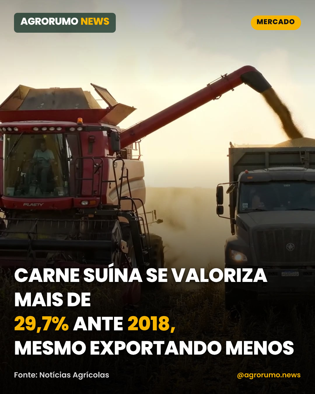 Carne suína se valoriza mais de 29,7% ante 2018, mesmo exportando menos