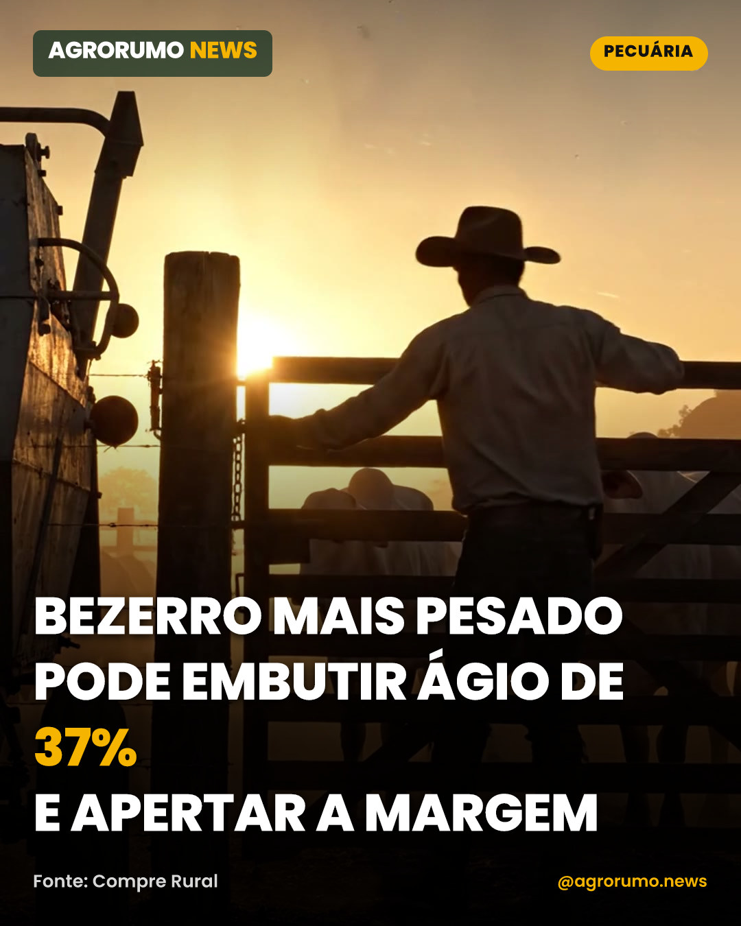Bezerro mais pesado pode embutir ágio de 37% e apertar a margem