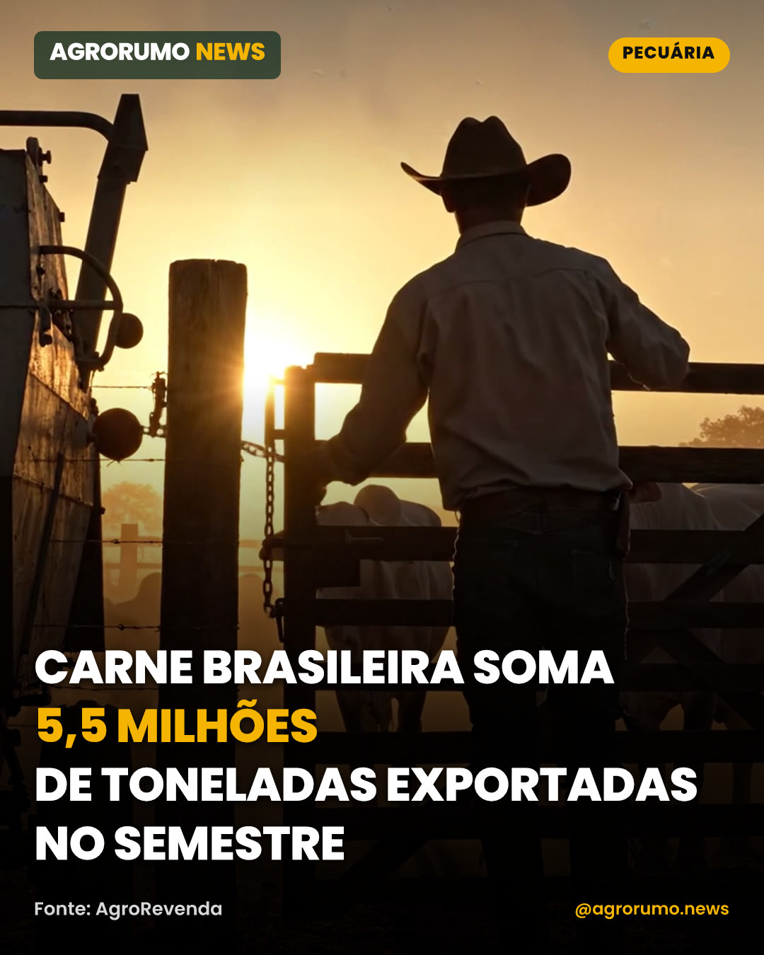 Carne brasileira soma 5,5 milhões de toneladas exportadas no semestre