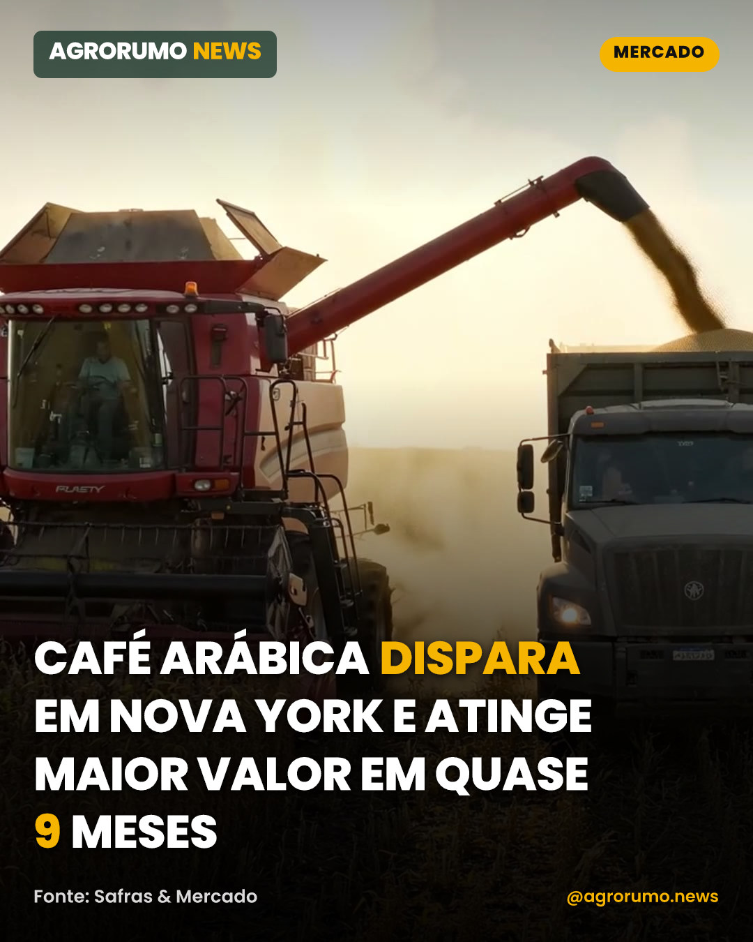 Café arábica dispara em Nova York e atinge maior valor em quase 9 meses