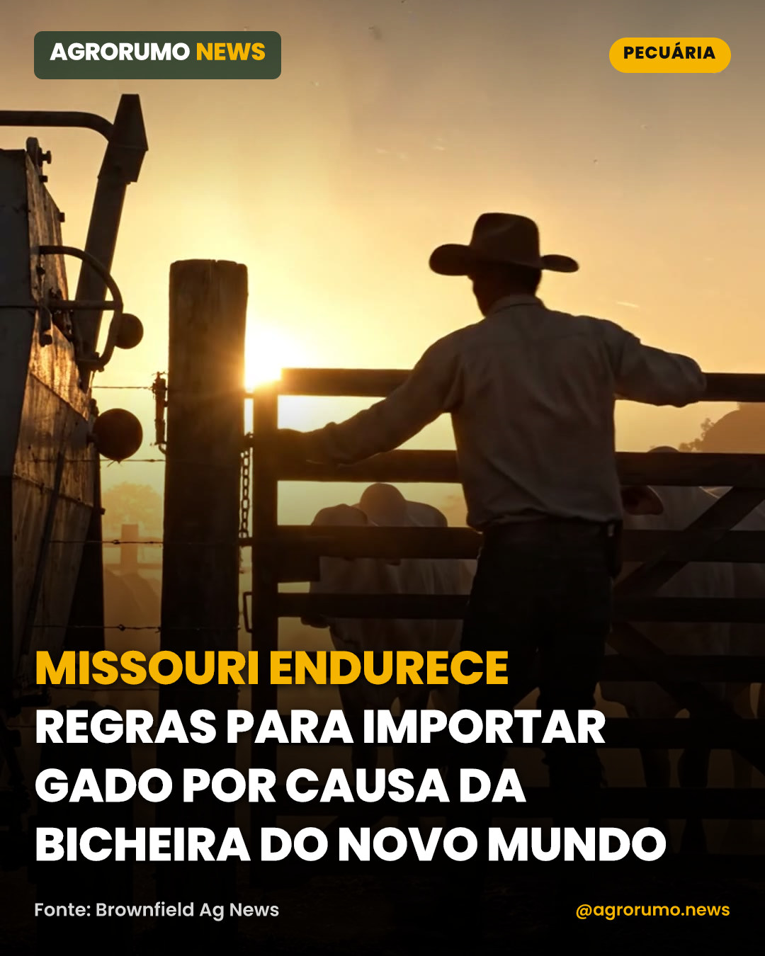 Missouri endurece regras para importar gado por causa da bicheira do Novo Mundo