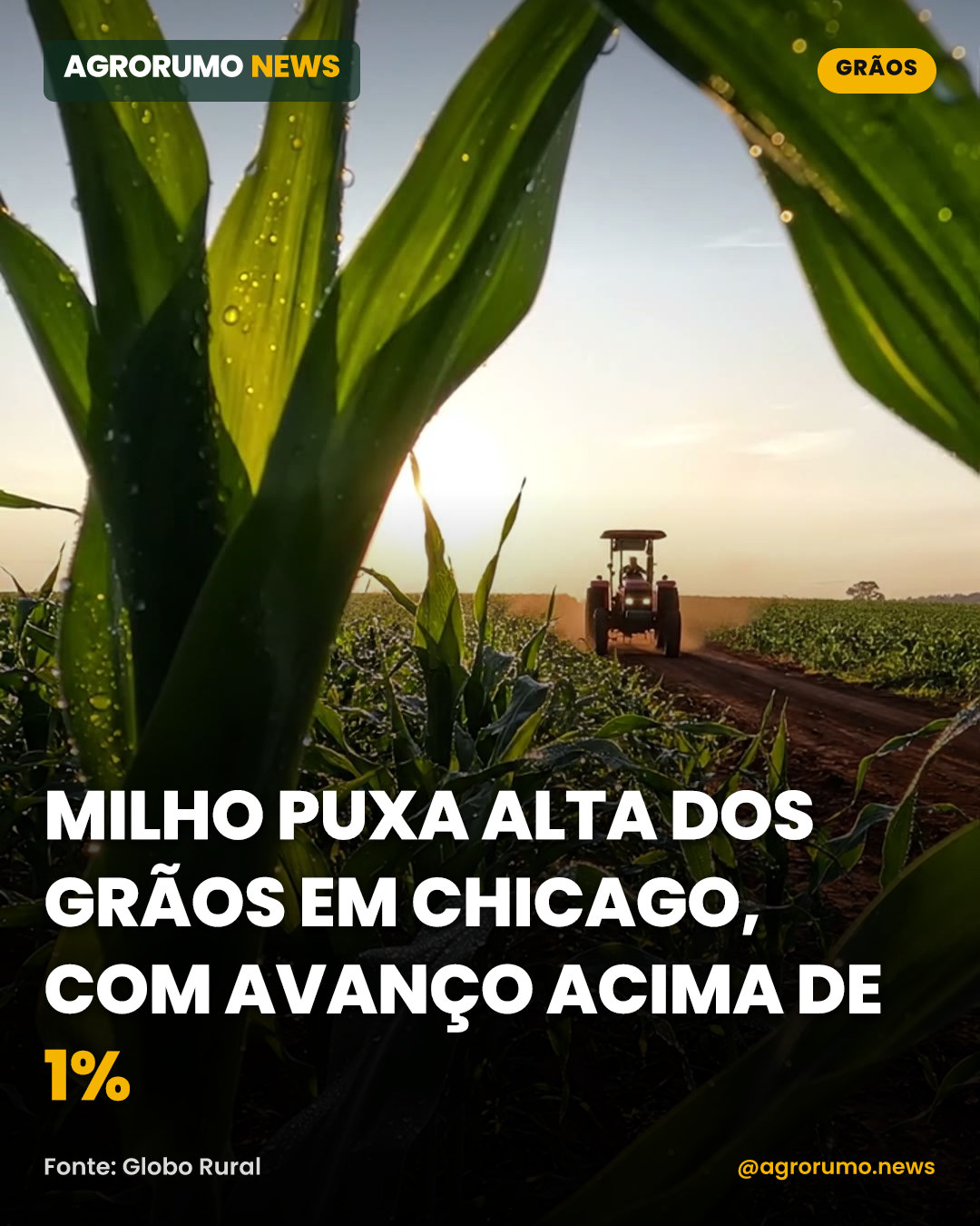 Milho puxa alta dos grãos em Chicago, com avanço acima de 1%