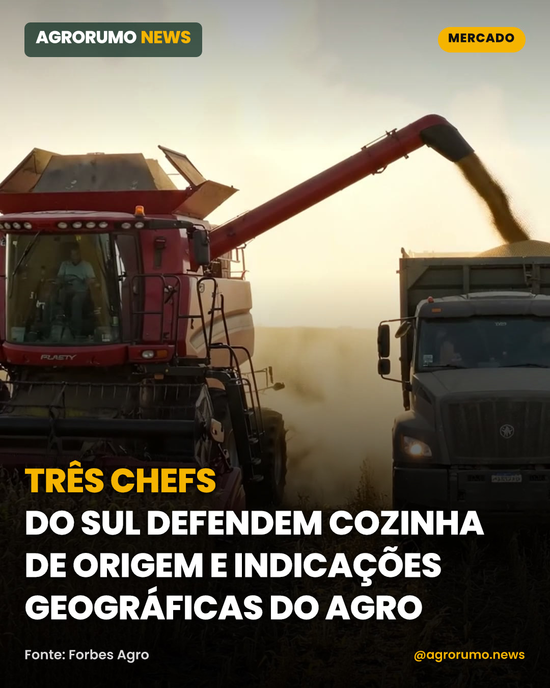 Três chefs do Sul defendem cozinha de origem e Indicações Geográficas do agro