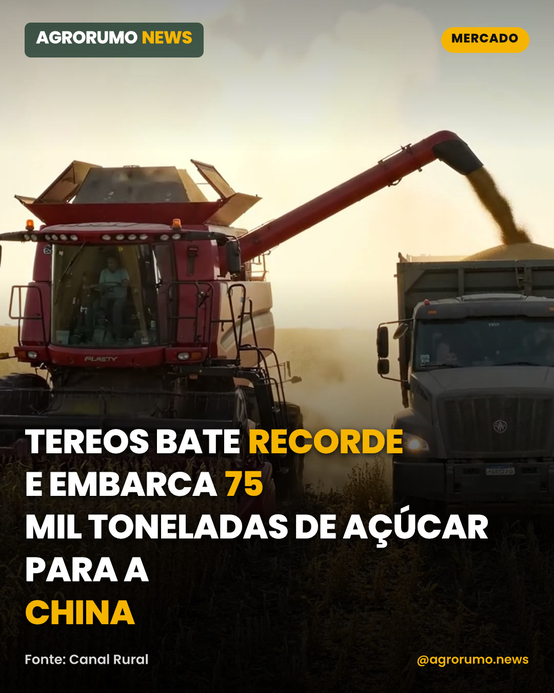 Tereos bate recorde e embarca 75 mil toneladas de açúcar para a China