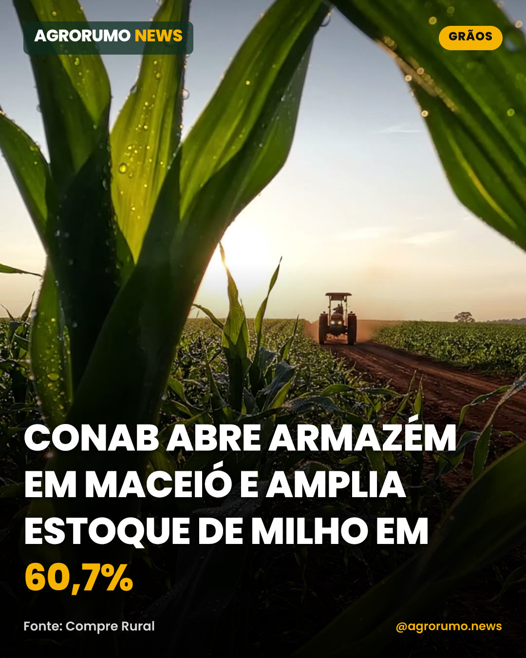 Conab abre armazém em Maceió e amplia estoque de milho em 60,7%