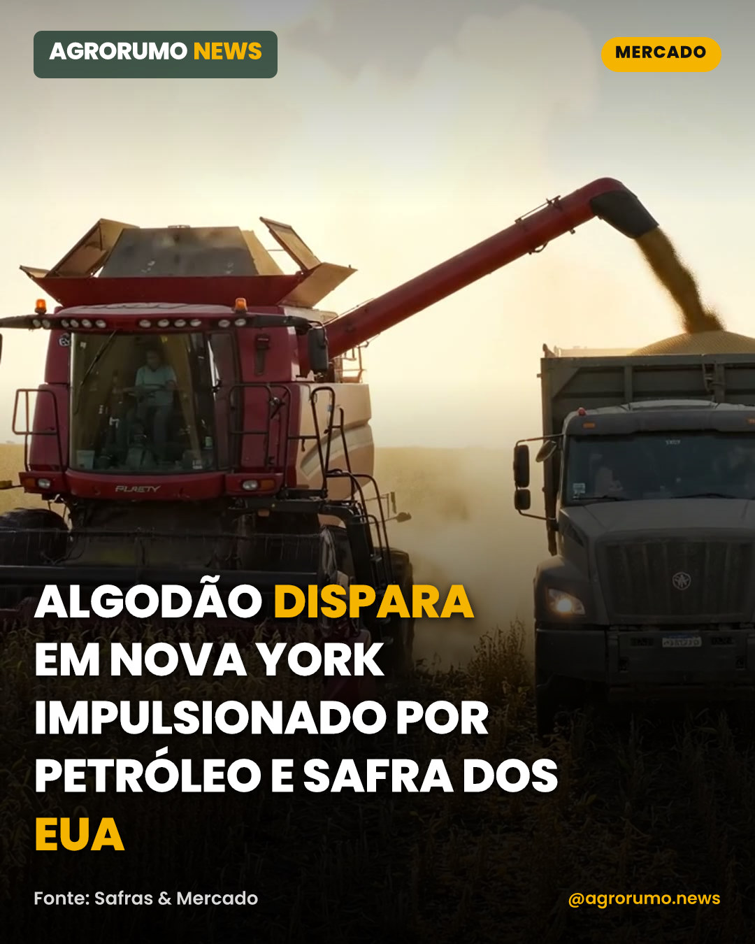 Algodão dispara em Nova York impulsionado por petróleo e safra dos EUA
