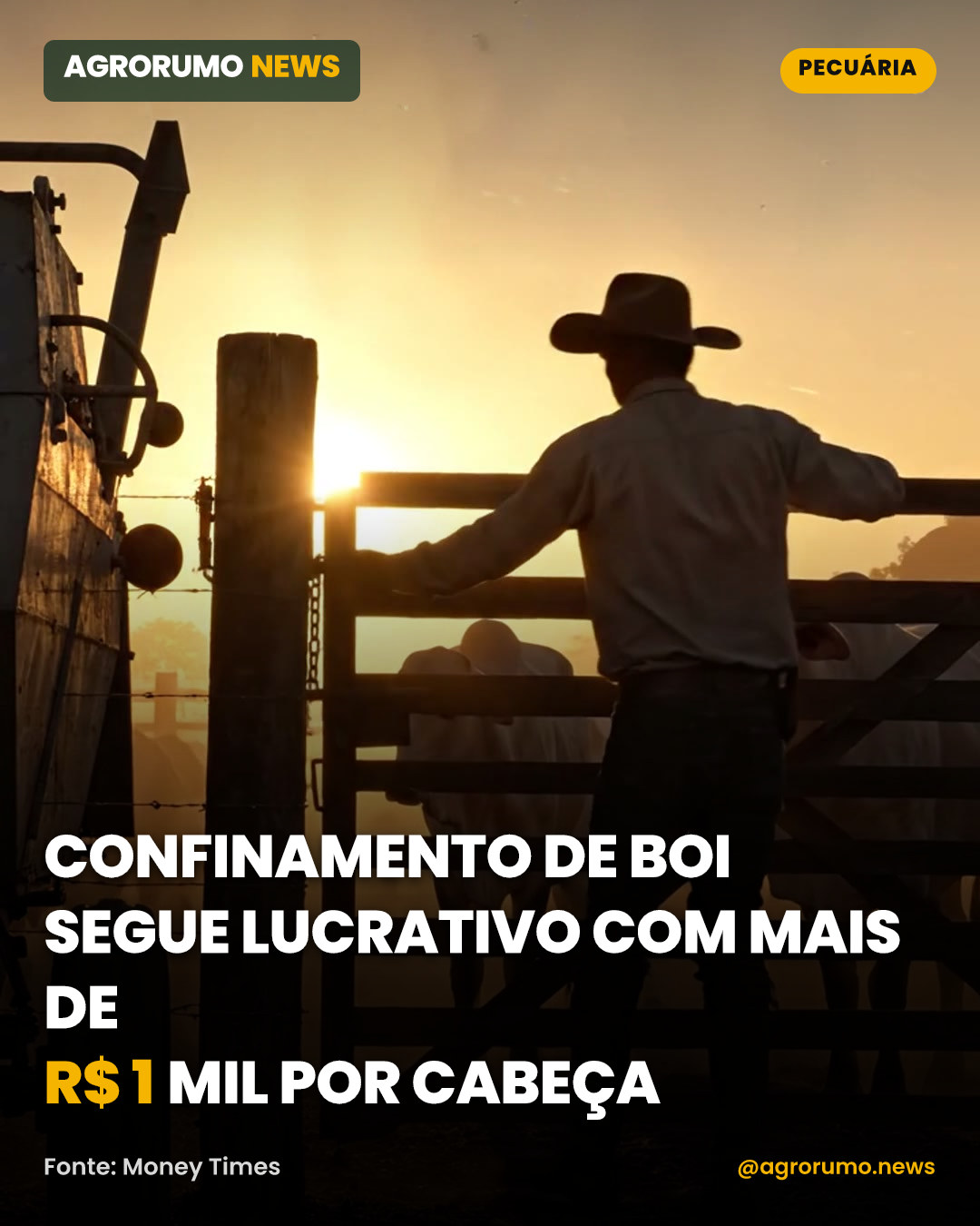 Confinamento de boi segue lucrativo com mais de R$ 1 mil por cabeça