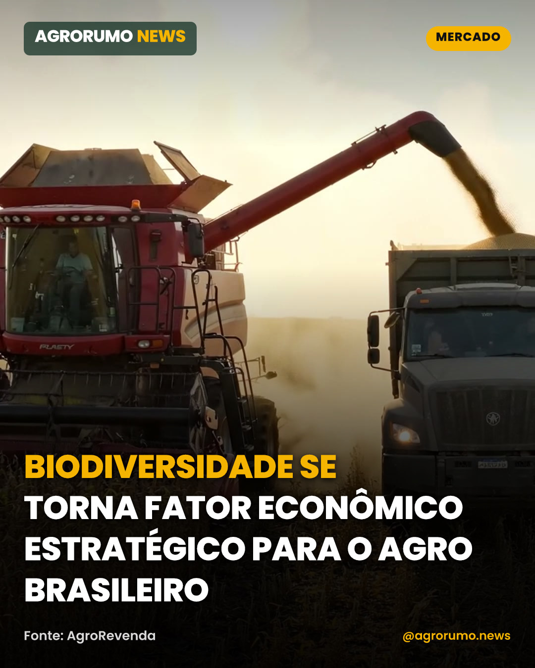 Biodiversidade se torna fator econômico estratégico para o agro brasileiro