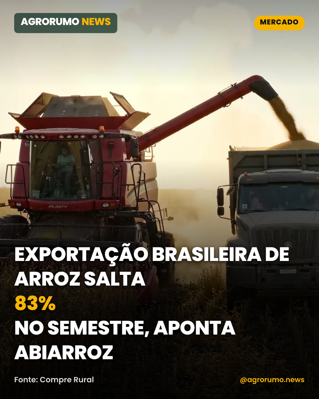 Exportação brasileira de arroz salta 83% no semestre, aponta Abiarroz