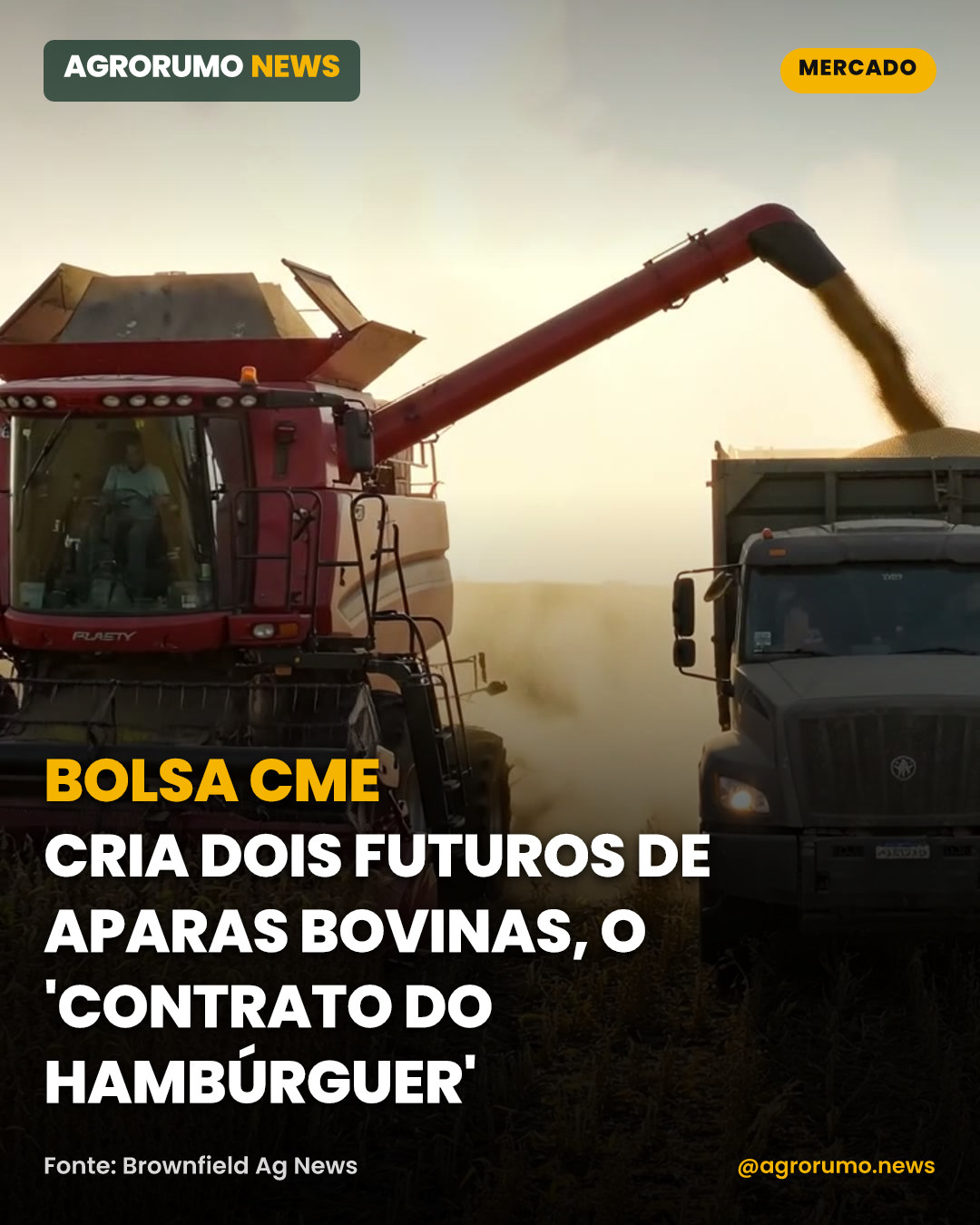 Bolsa CME cria dois futuros de aparas bovinas, o 'contrato do hambúrguer'