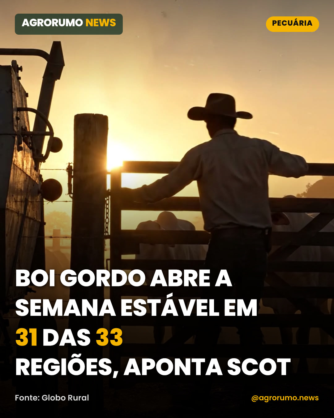 Boi gordo abre a semana estável em 31 das 33 regiões, aponta Scot