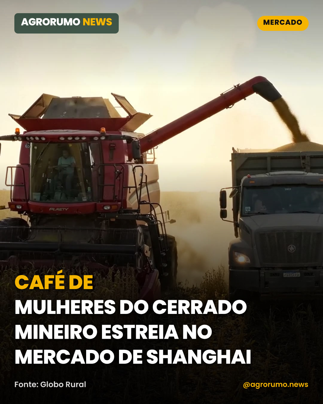 Café de mulheres do Cerrado Mineiro estreia no mercado de Shanghai