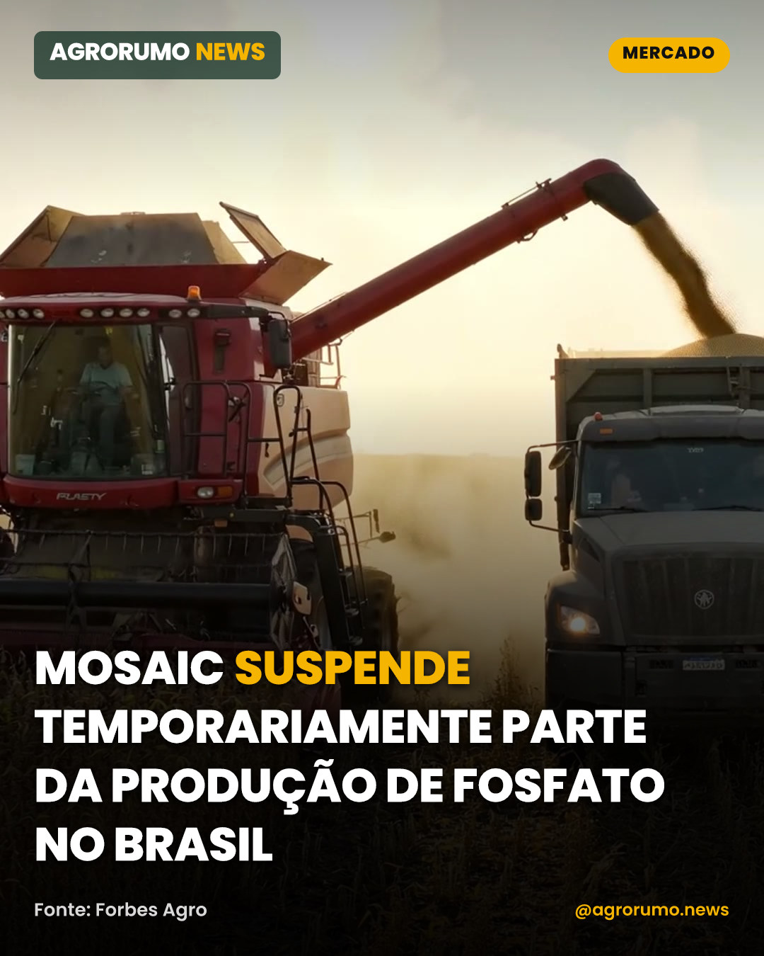 Mosaic suspende temporariamente parte da produção de fosfato no Brasil