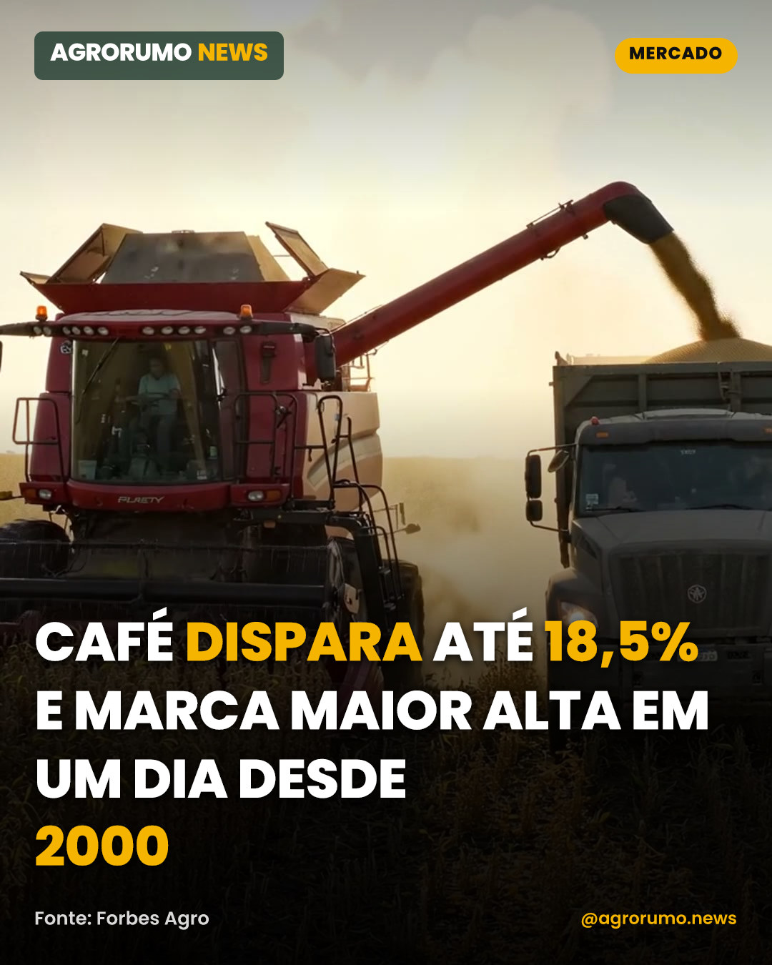 Café dispara até 18,5% e marca maior alta em um dia desde 2000