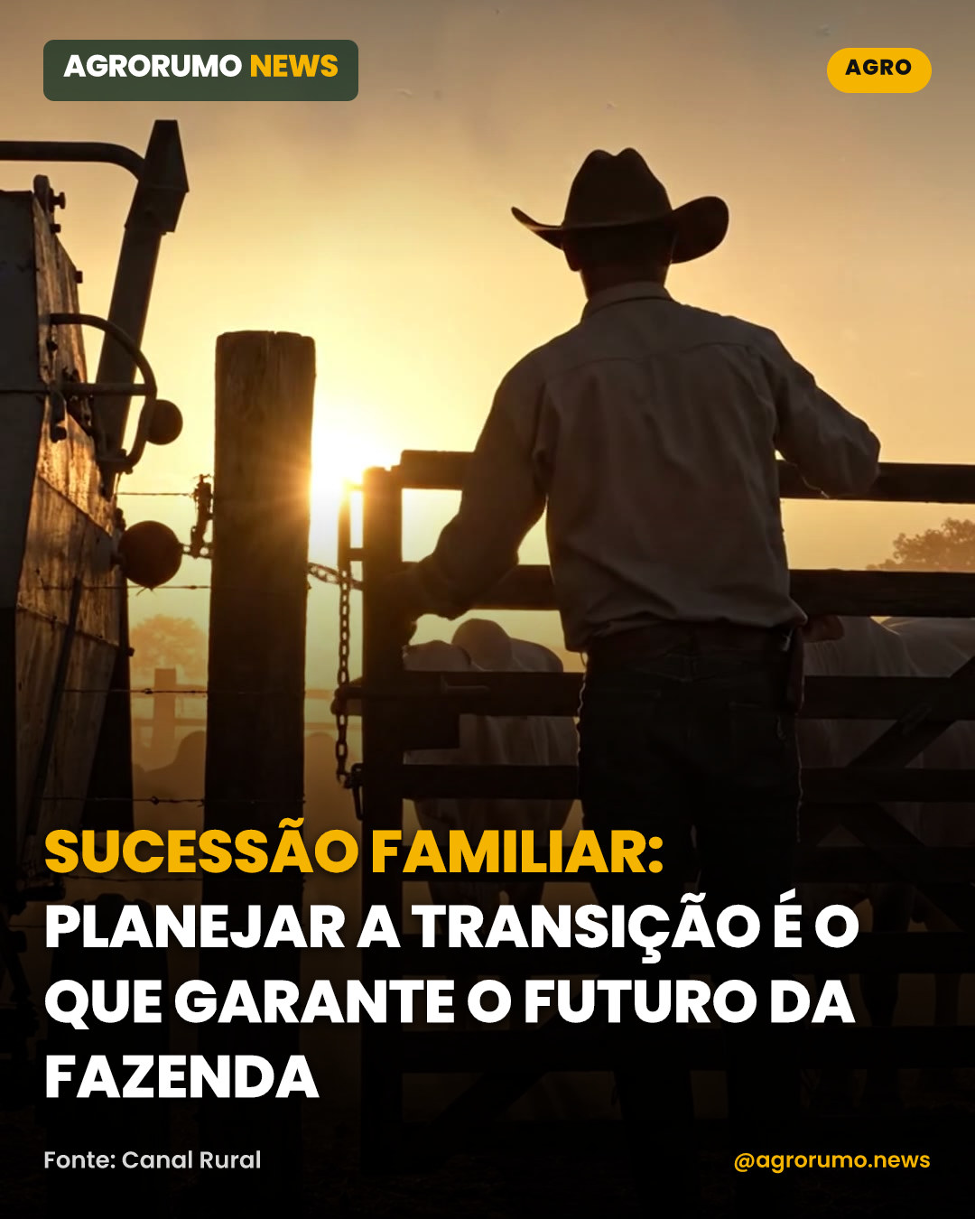 Sucessão familiar: planejar a transição é o que garante o futuro da fazenda