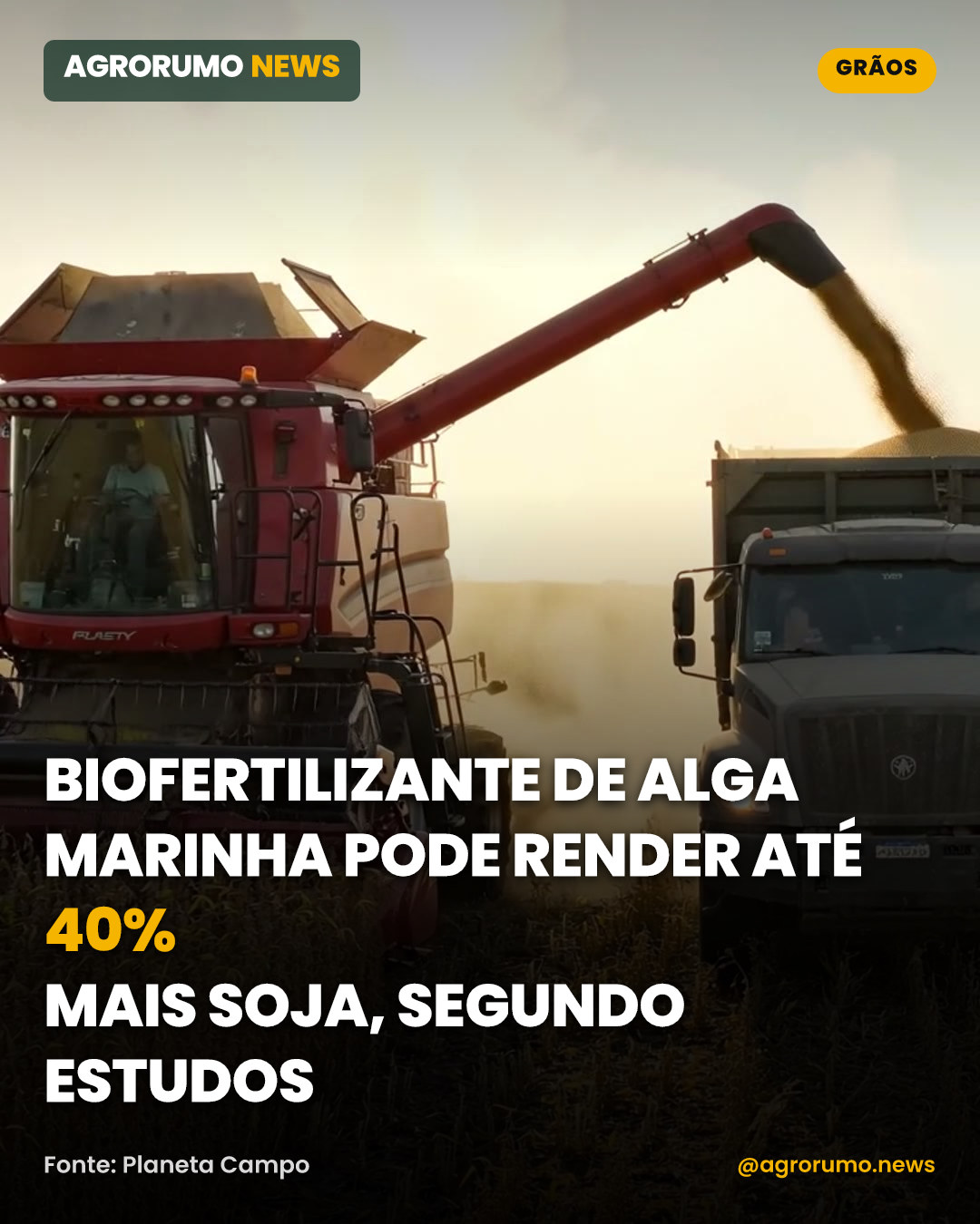Biofertilizante de alga marinha pode render até 40% mais soja, segundo estudos