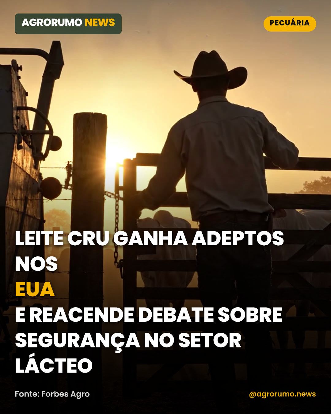 Leite cru ganha adeptos nos EUA e reacende debate sobre segurança no setor lácteo