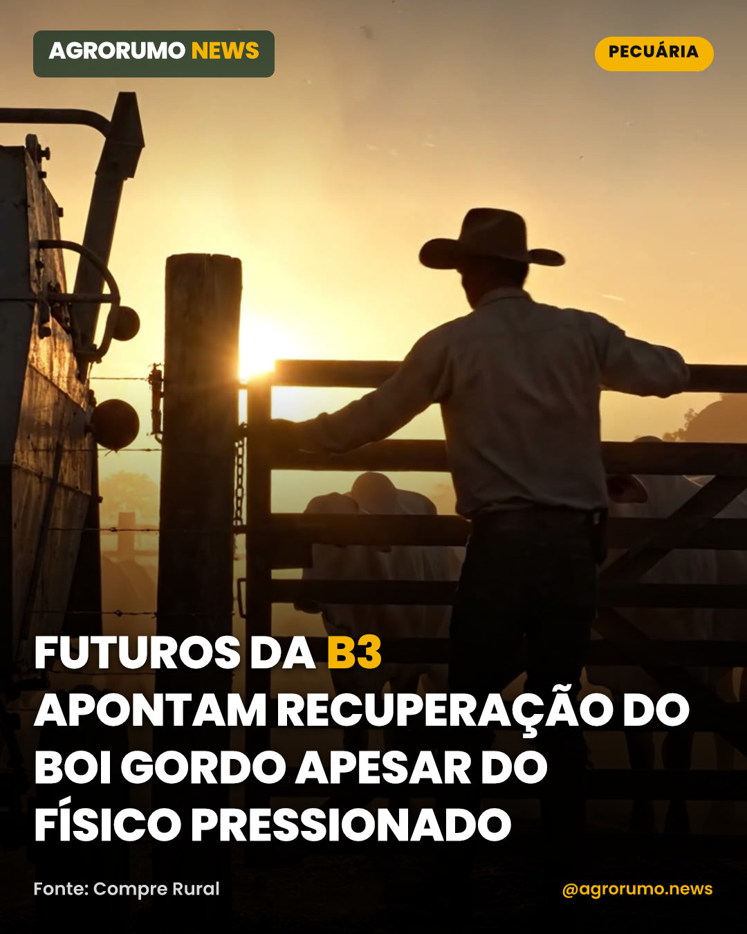 Futuros da B3 apontam recuperação do boi gordo apesar do físico pressionado