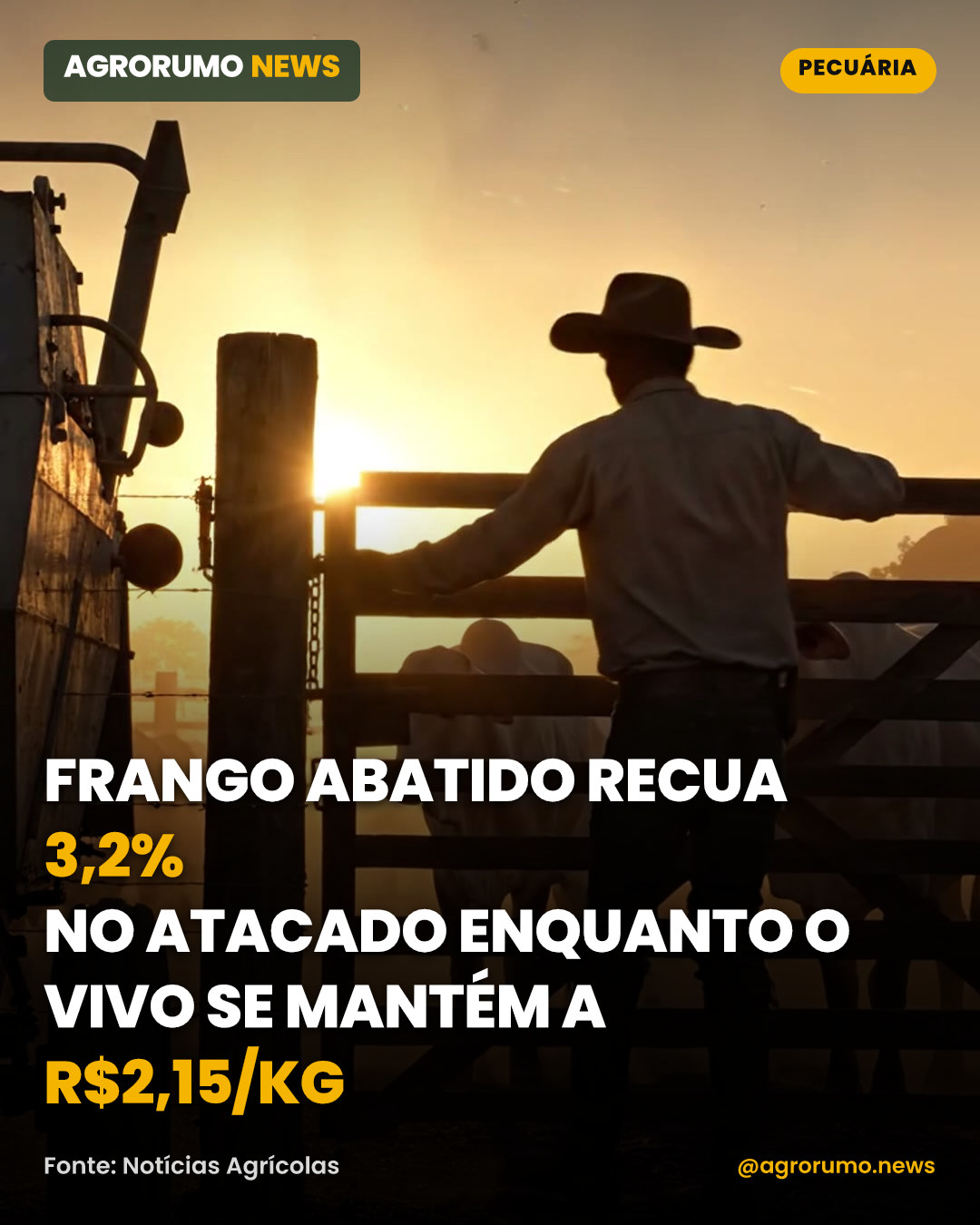 Frango abatido recua 3,2% no atacado enquanto o vivo se mantém a R$2,15/kg