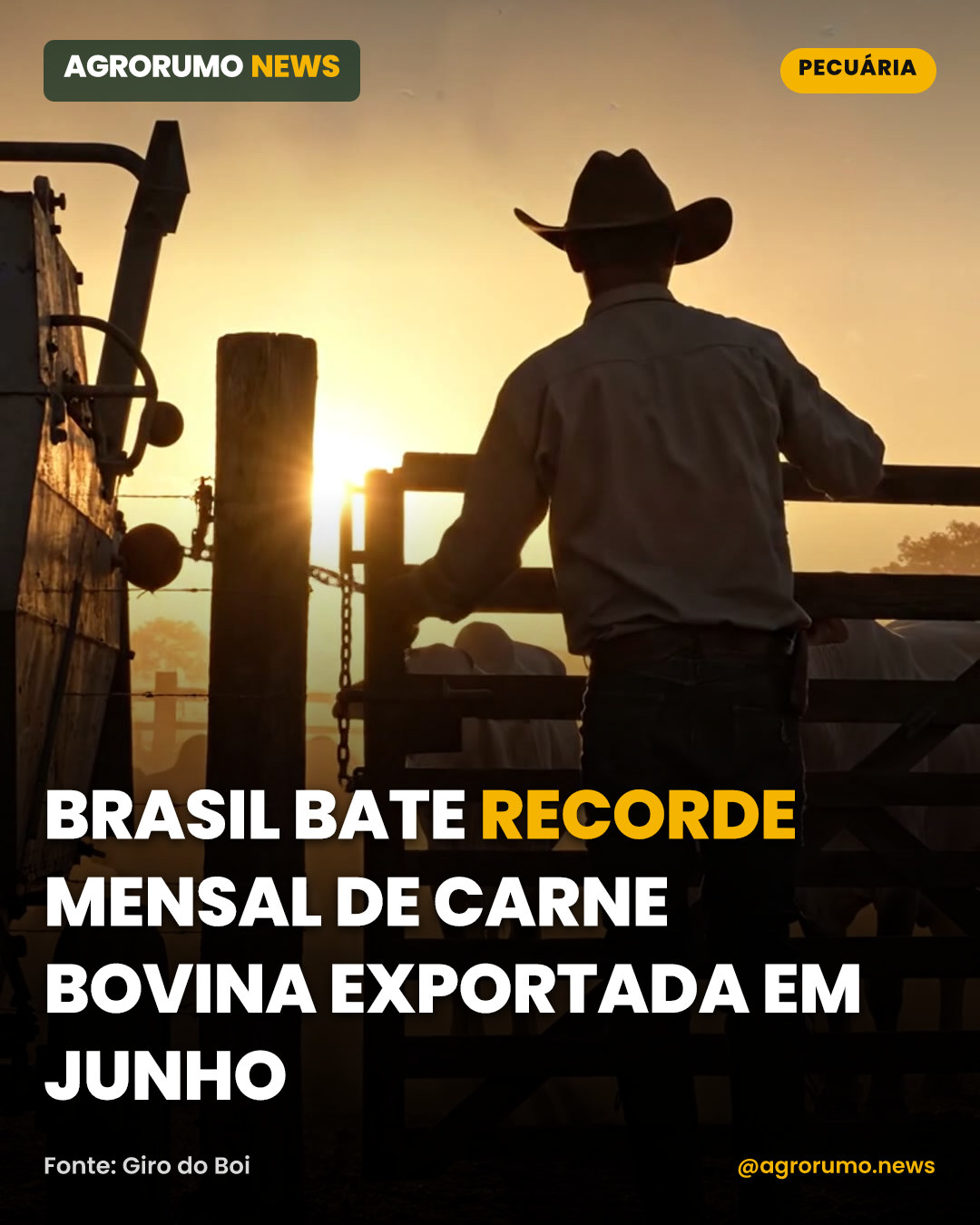 Brasil bate recorde mensal de carne bovina exportada em junho