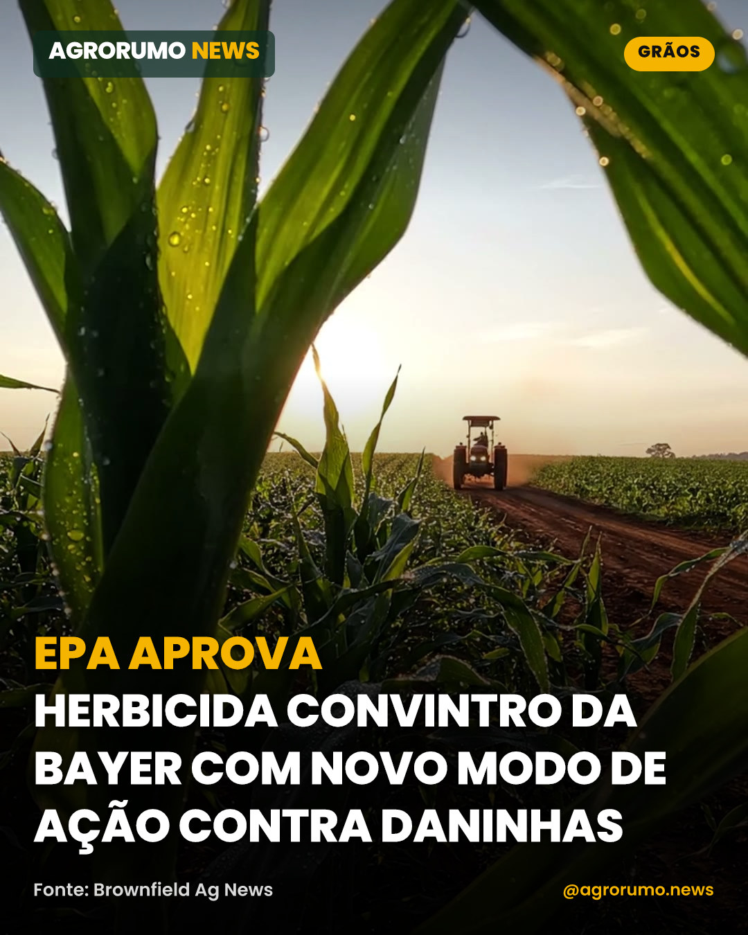 EPA aprova herbicida Convintro da Bayer com novo modo de ação contra daninhas