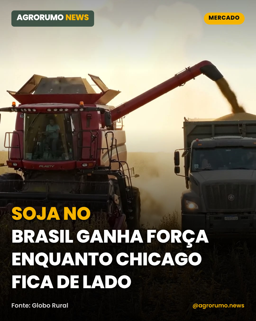 Soja no Brasil ganha força enquanto Chicago fica de lado