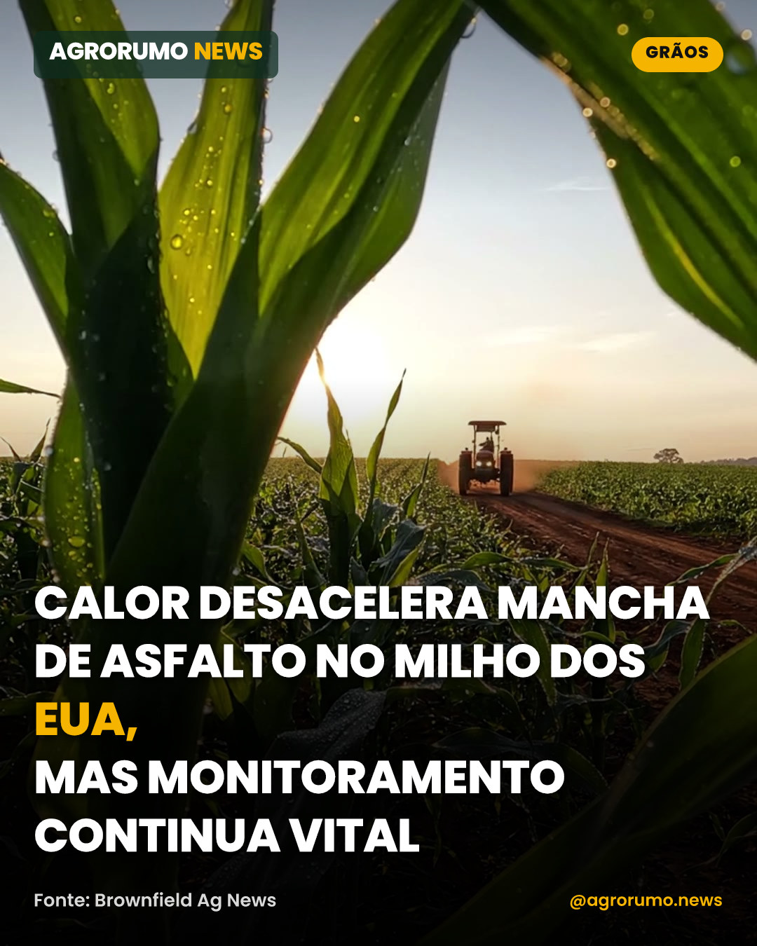 Calor desacelera mancha de asfalto no milho dos EUA, mas monitoramento continua vital