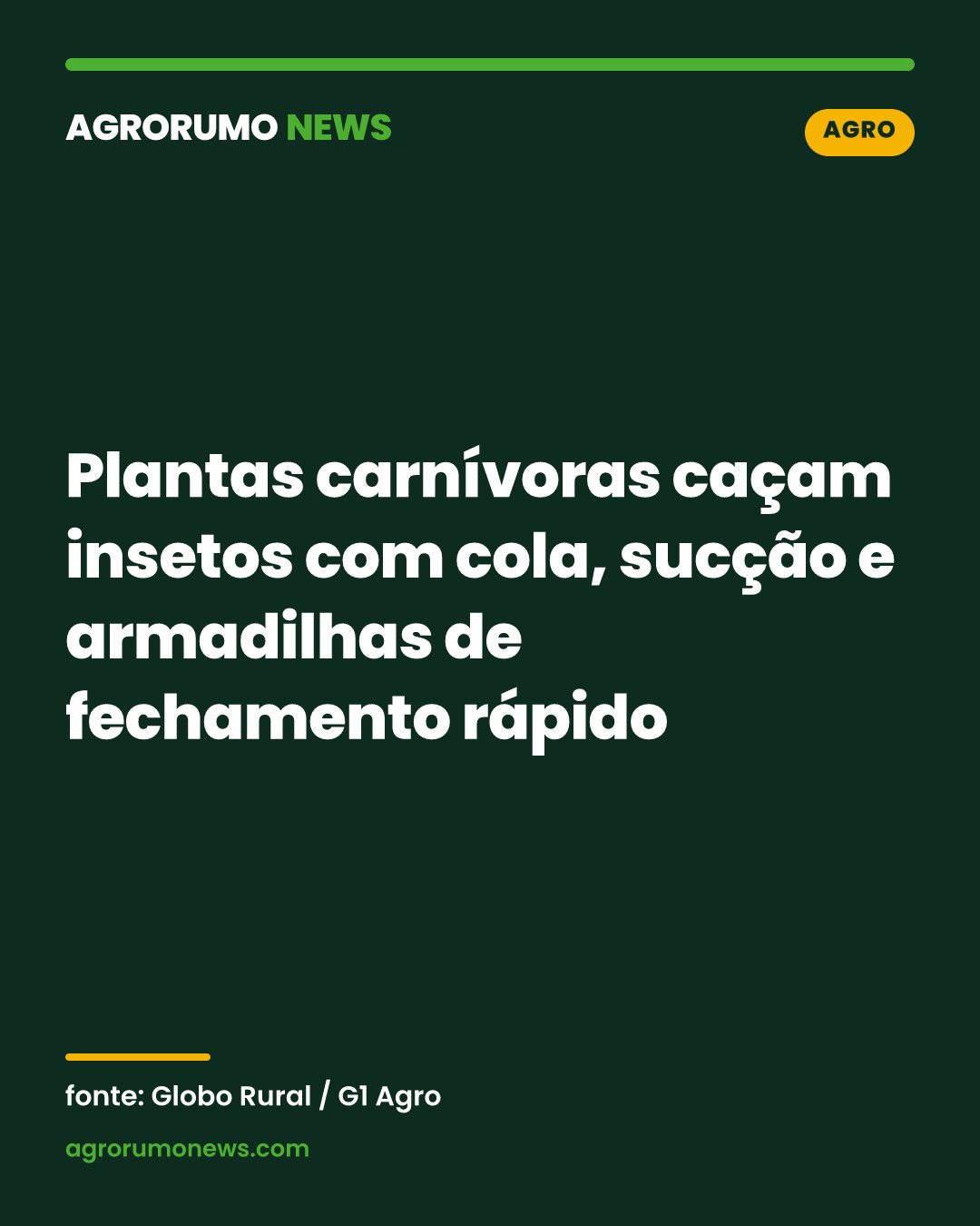 Plantas carnívoras caçam insetos com cola, sucção e armadilhas de fechamento rápido