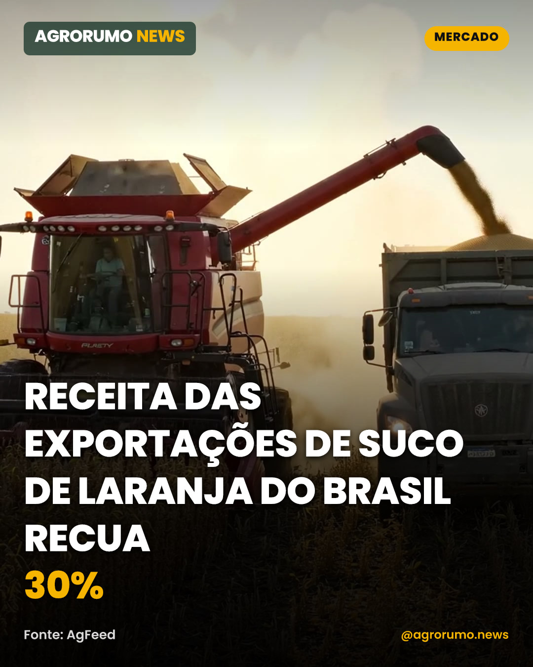 Receita das exportações de suco de laranja do Brasil recua 30%