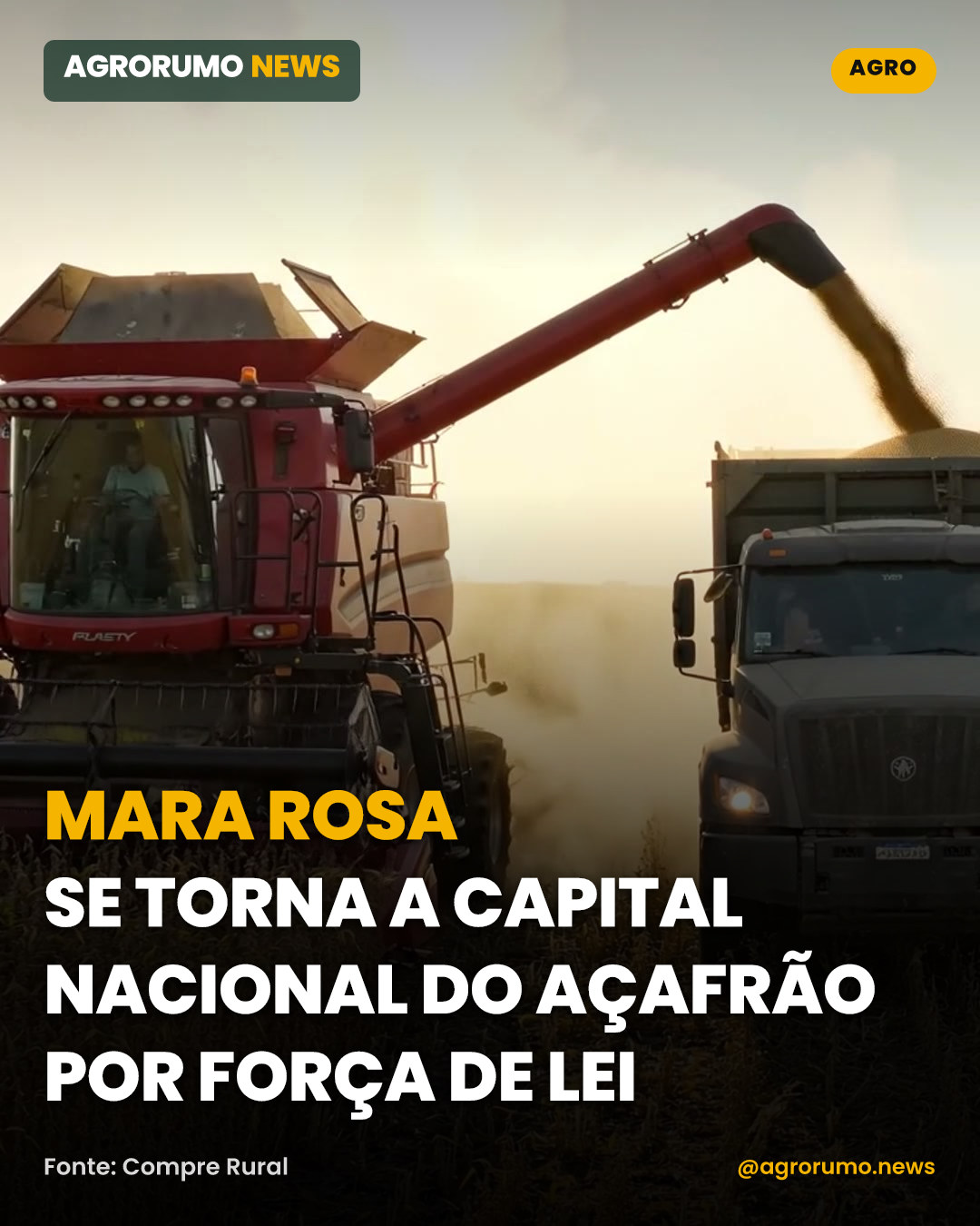 Mara Rosa se torna a Capital Nacional do Açafrão por força de lei