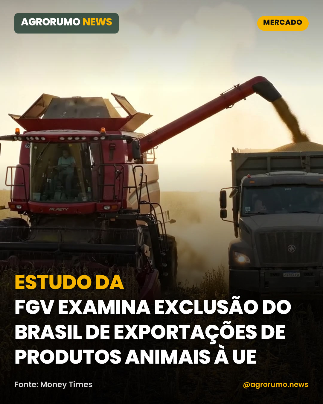 Estudo da FGV examina exclusão do Brasil de exportações de produtos animais à UE