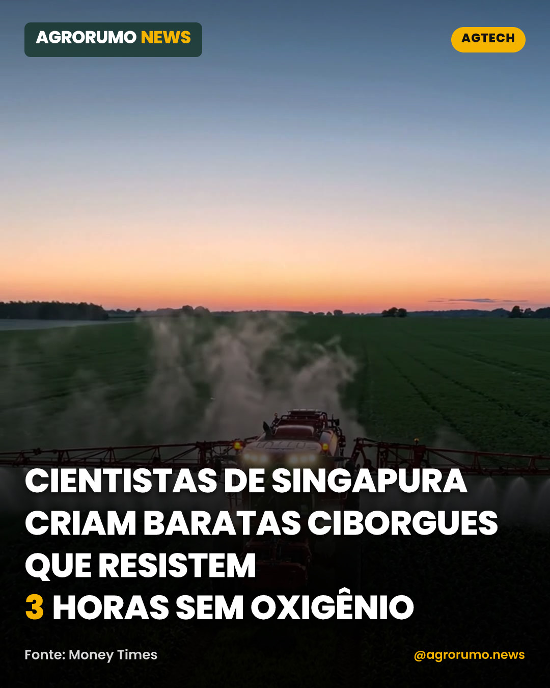Cientistas de Singapura criam baratas ciborgues que resistem 3 horas sem oxigênio
