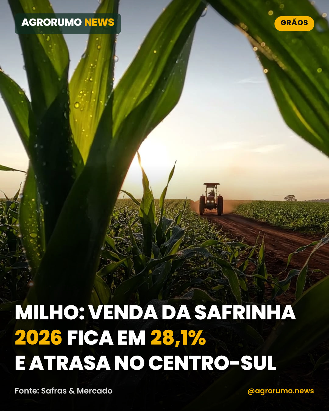 Milho: venda da safrinha 2026 fica em 28,1% e atrasa no Centro-Sul