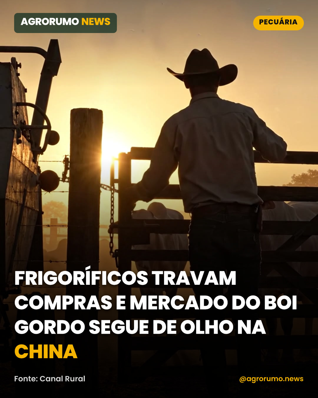 Frigoríficos travam compras e mercado do boi gordo segue de olho na China