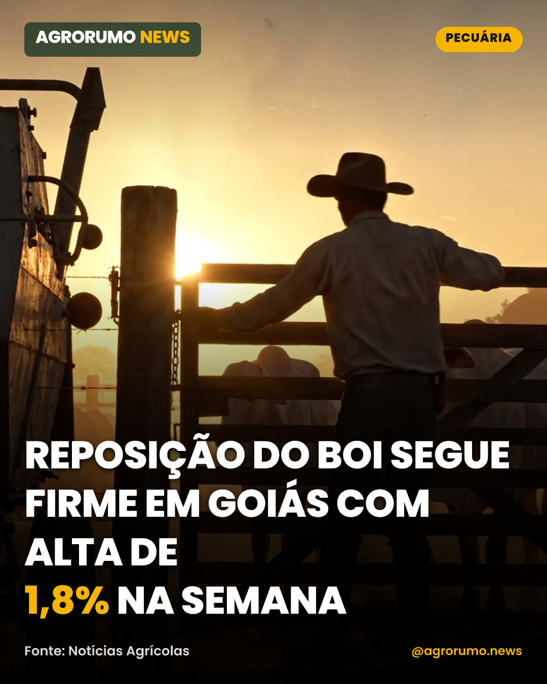 Reposição do boi segue firme em Goiás com alta de 1,8% na semana