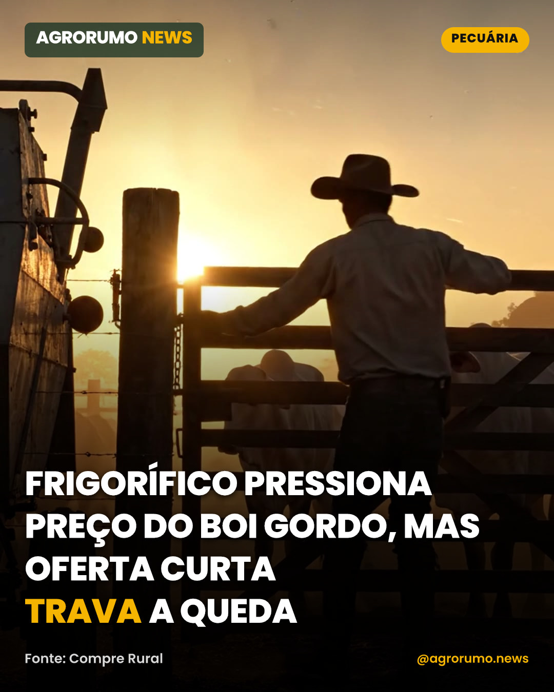 Frigorífico pressiona preço do boi gordo, mas oferta curta trava a queda