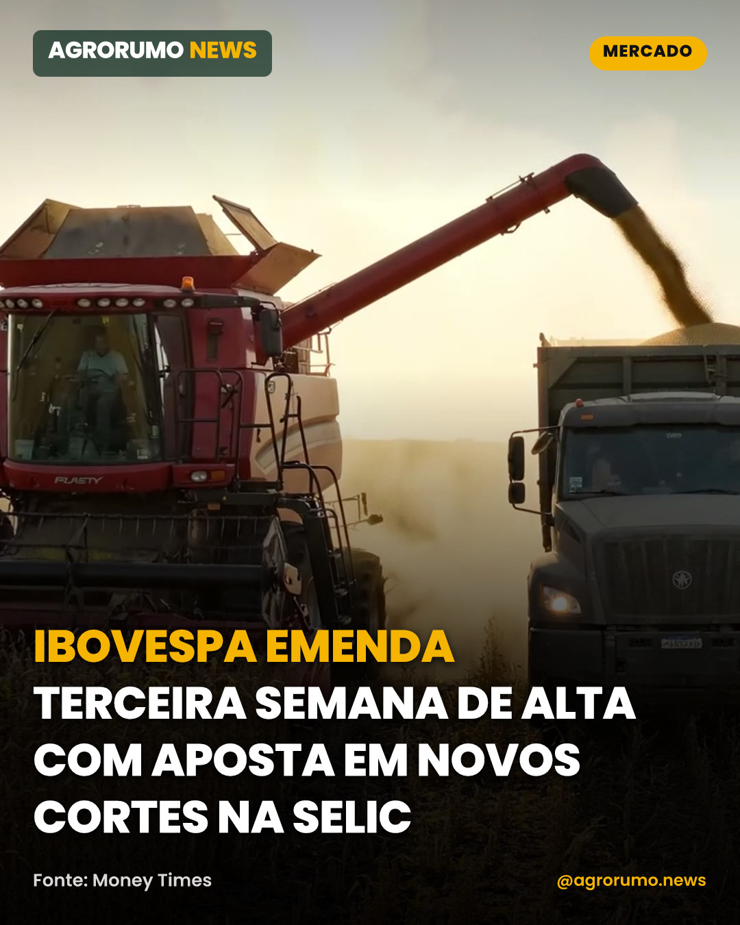 Ibovespa emenda terceira semana de alta com aposta em novos cortes na Selic