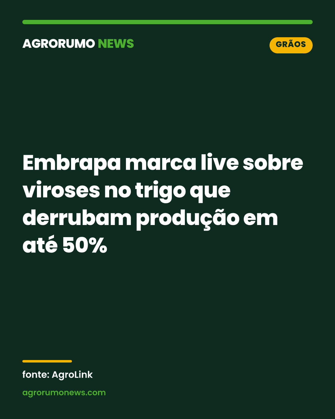Embrapa marca live sobre viroses no trigo que derrubam produção em até 50%