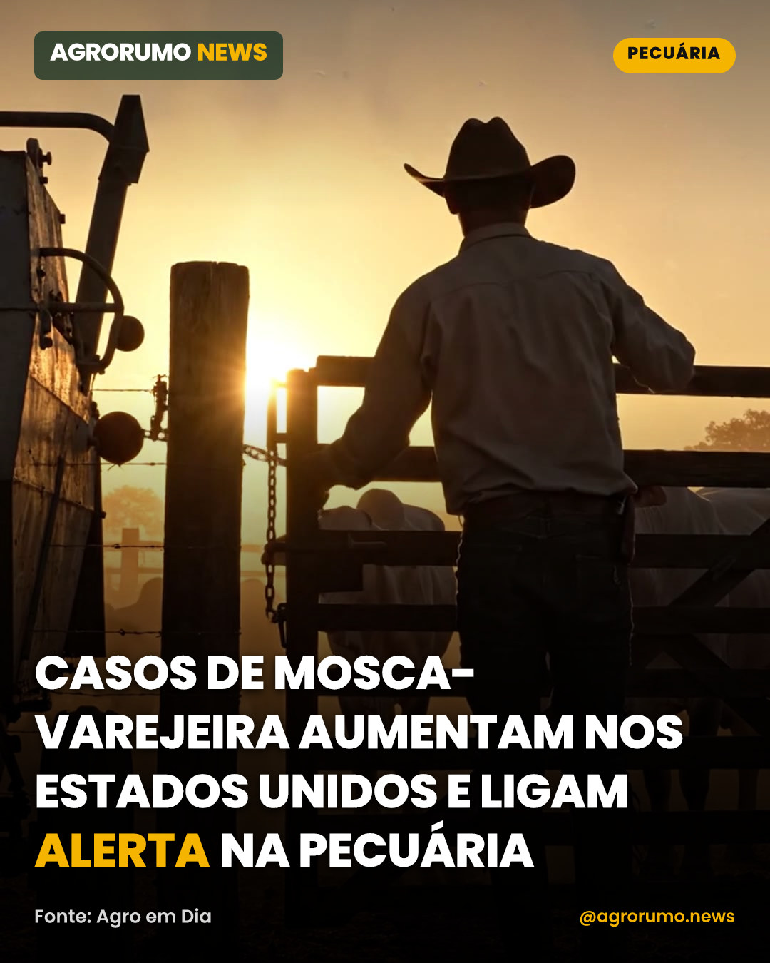 Casos de mosca-varejeira aumentam nos Estados Unidos e ligam alerta na pecuária