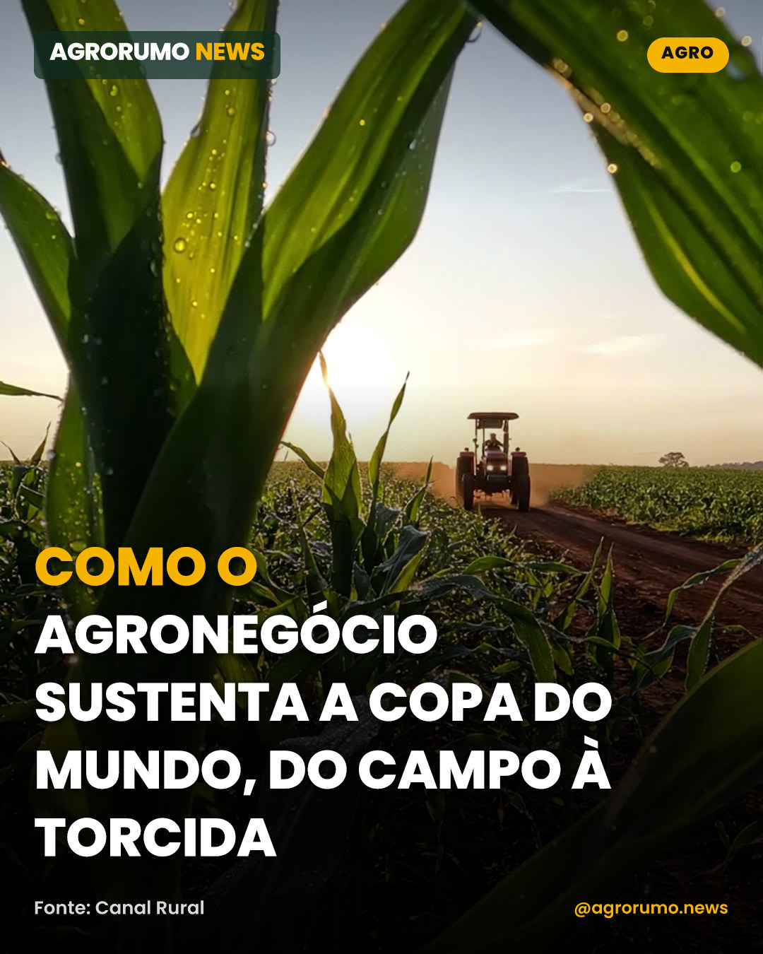 Como o agronegócio sustenta a Copa do Mundo, do campo à torcida