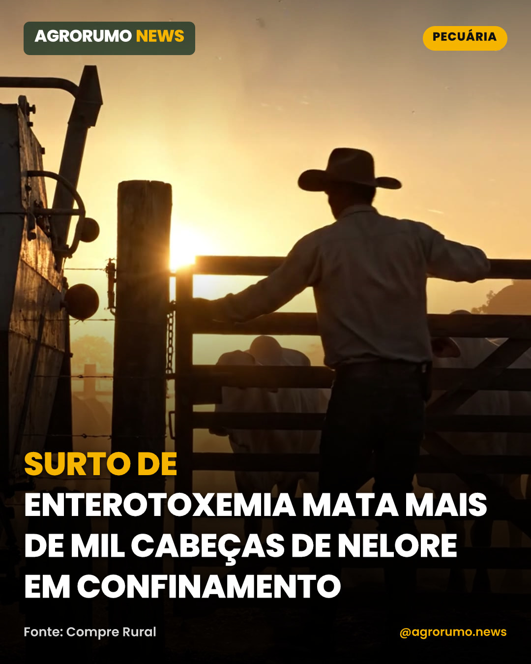 Surto de enterotoxemia mata mais de mil cabeças de Nelore em confinamento