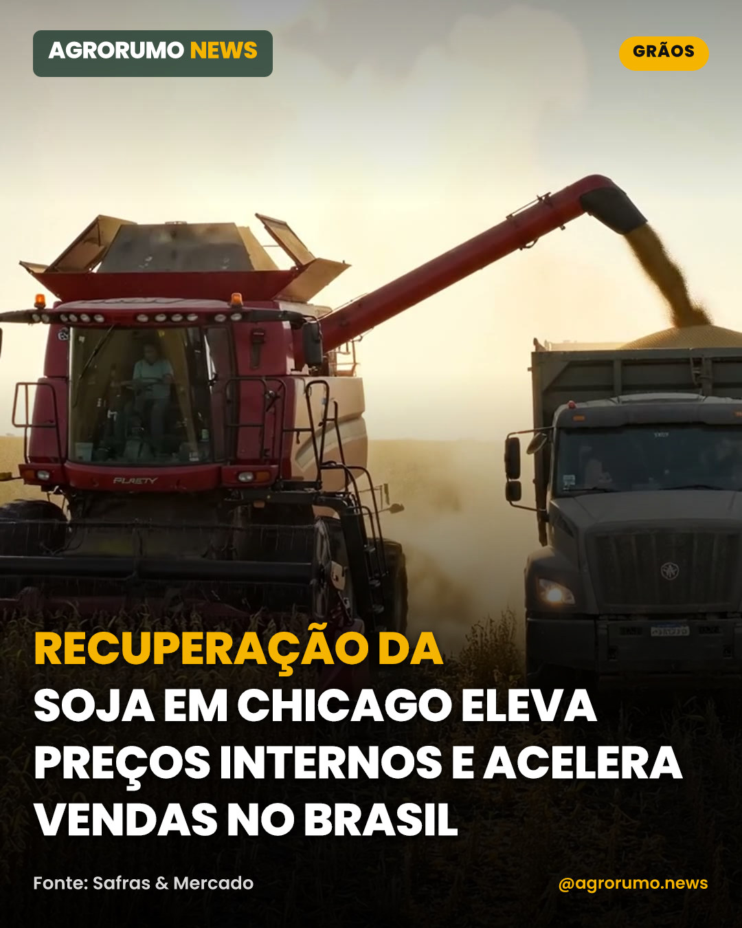 Recuperação da soja em Chicago eleva preços internos e acelera vendas no Brasil