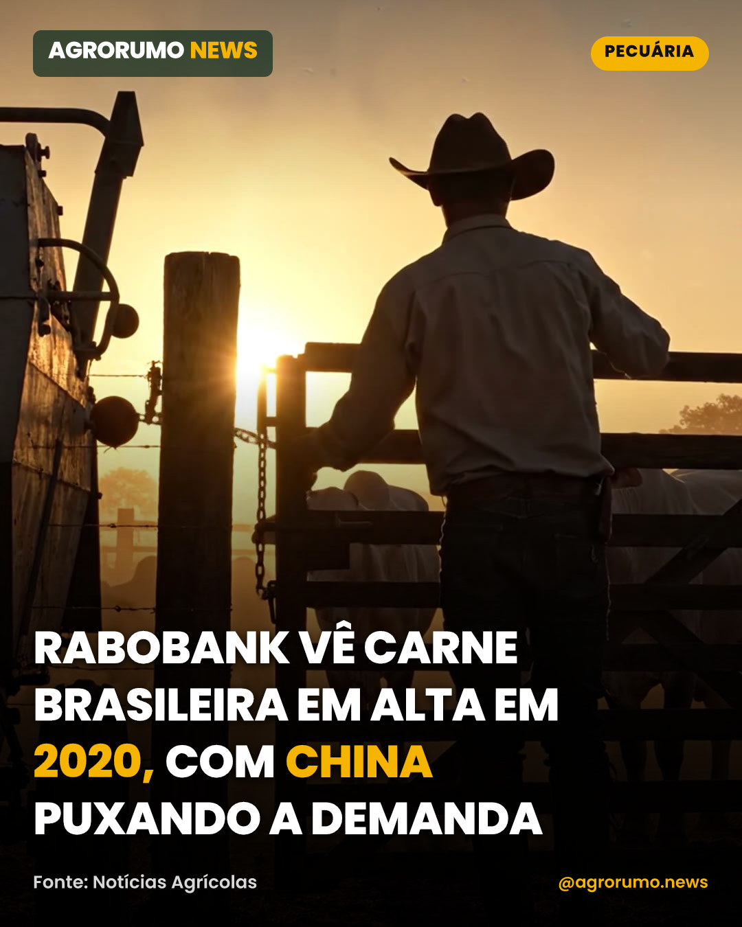 Rabobank vê carne brasileira em alta em 2020, com China puxando a demanda
