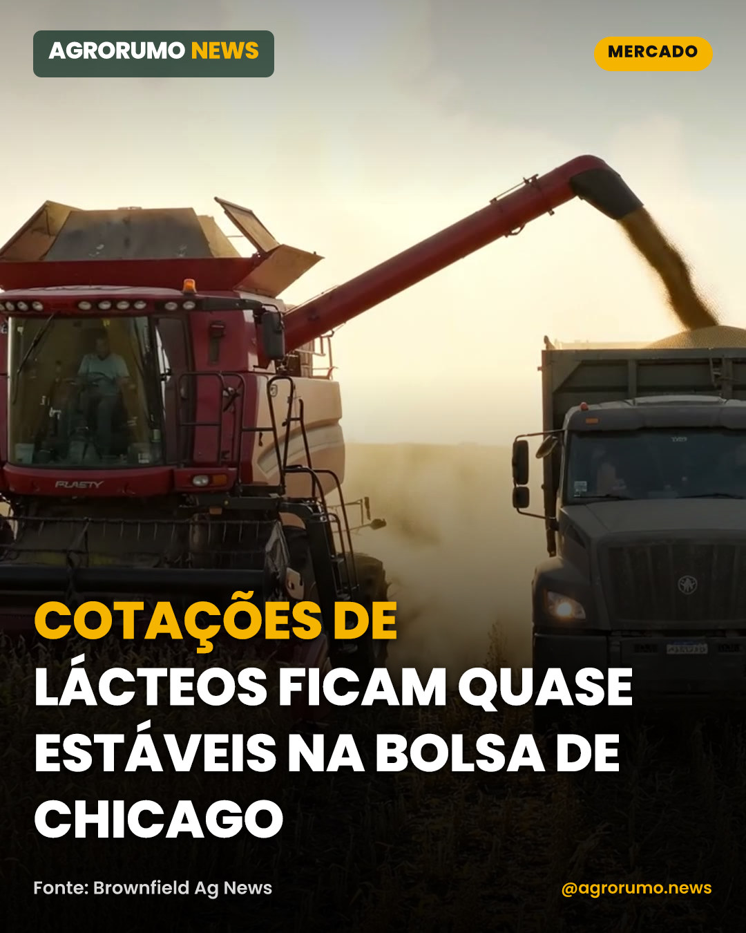 Cotações de lácteos ficam quase estáveis na bolsa de Chicago