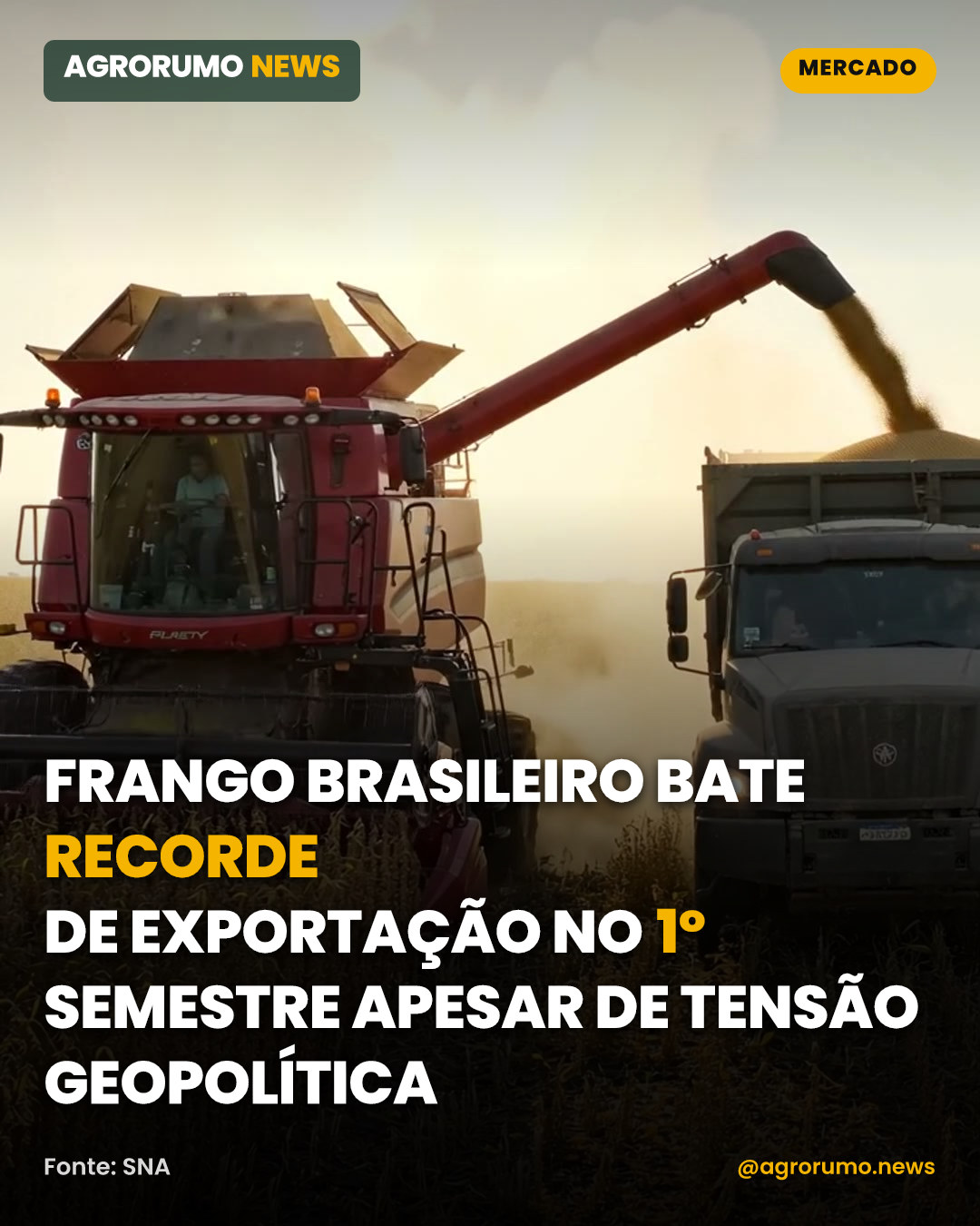 Frango brasileiro bate recorde de exportação no 1º semestre apesar de tensão geopolítica