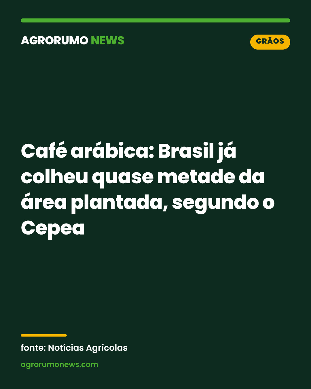 Café arábica: Brasil já colheu quase metade da área plantada, segundo o Cepea