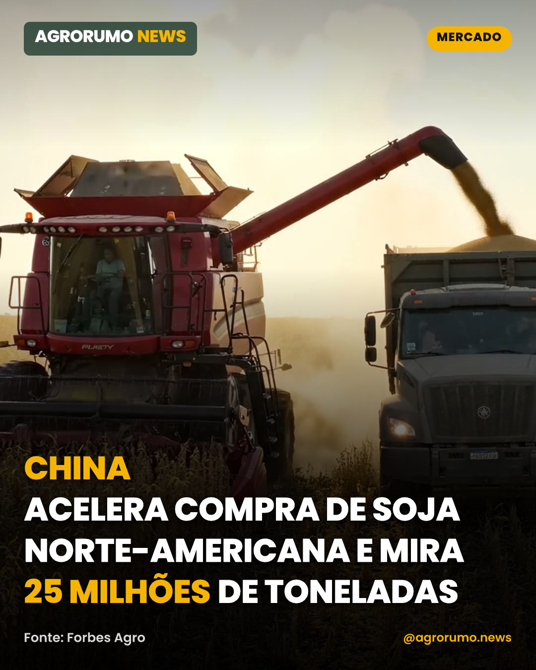 China acelera compra de soja norte-americana e mira 25 milhões de toneladas